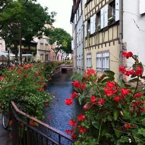 Meet your Posher, Nancy